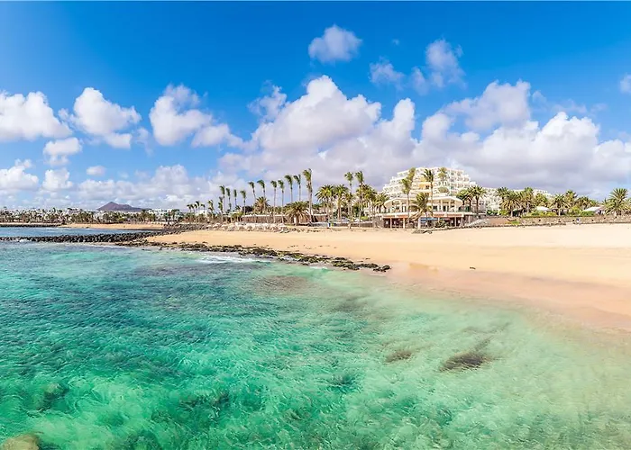 巴塞罗特吉塞海滩酒店 - 仅限成人 酒店 4*